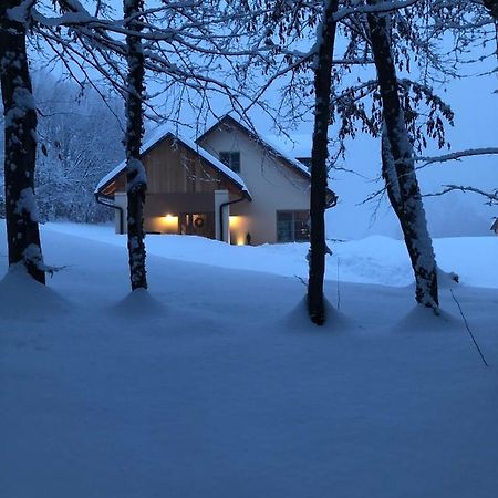 Loft Naturalpina Dolomiti Farm Belluno Exteriör bild