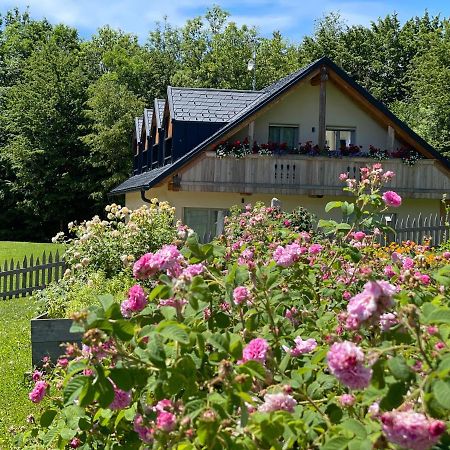 Loft Naturalpina Dolomiti Farm Belluno Exteriör bild