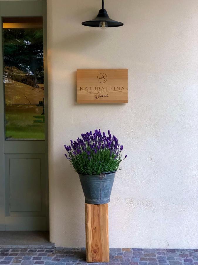 Loft Naturalpina Dolomiti Farm Belluno Exteriör bild