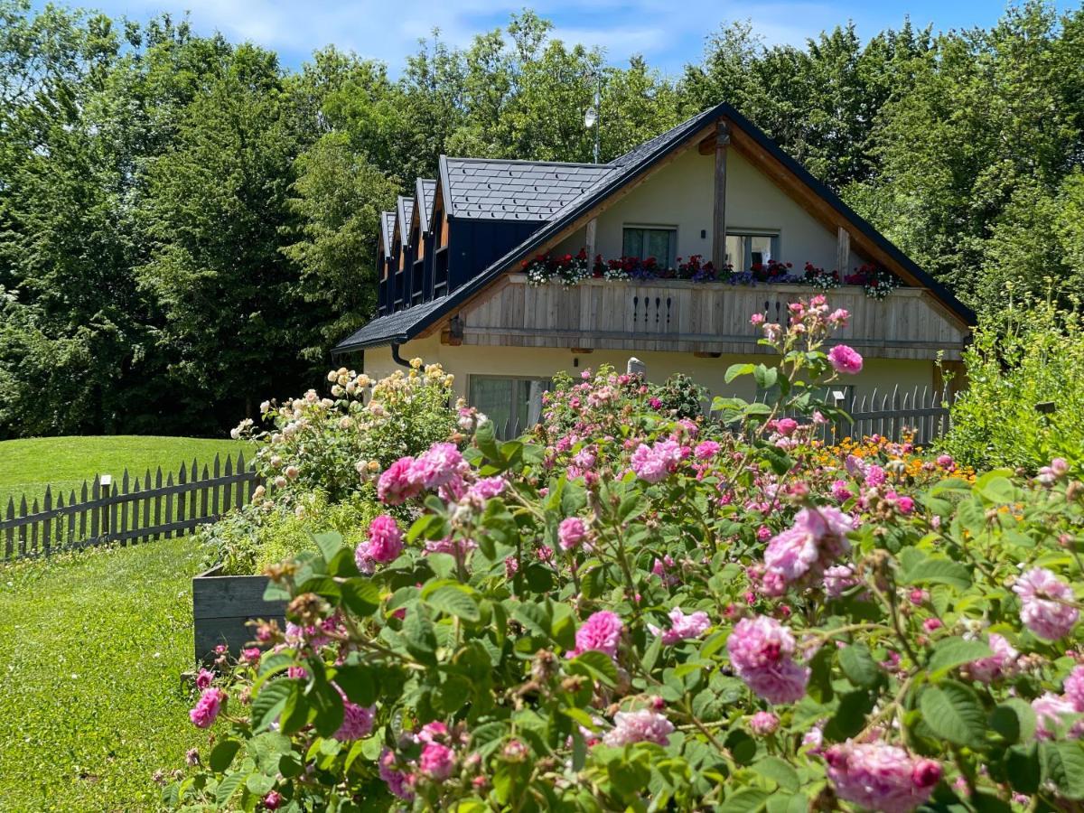 Loft Naturalpina Dolomiti Farm Belluno Exteriör bild
